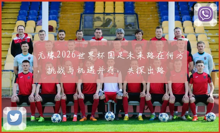 无缘2026世界杯国足未来路在何方，挑战与机遇并存，共探出路